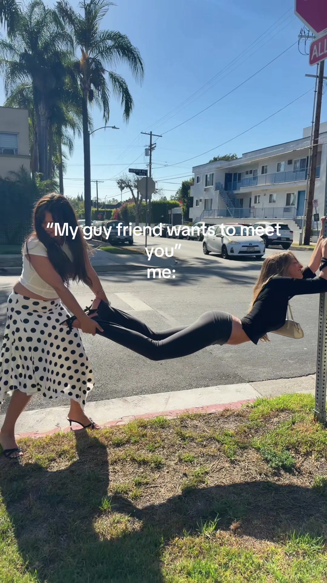 @cat!
