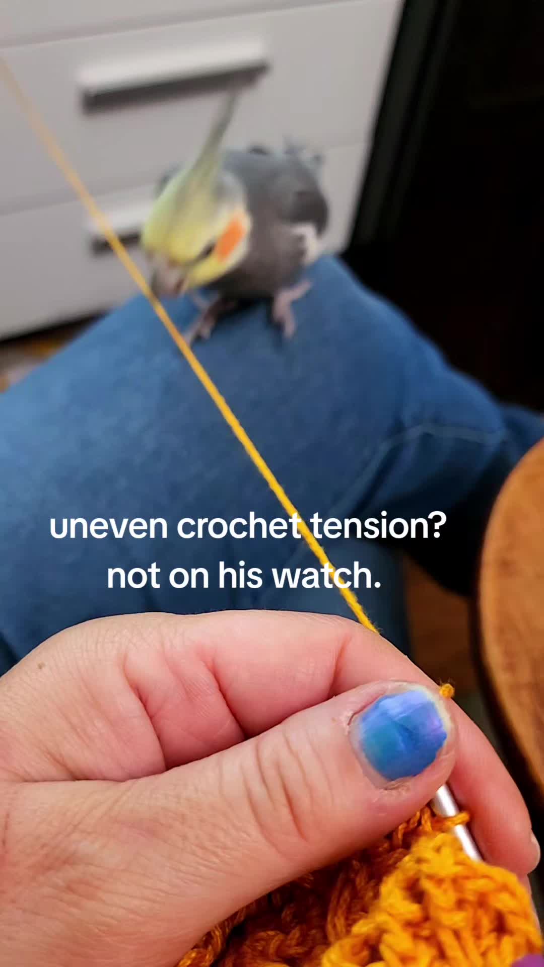 @Crochetverse