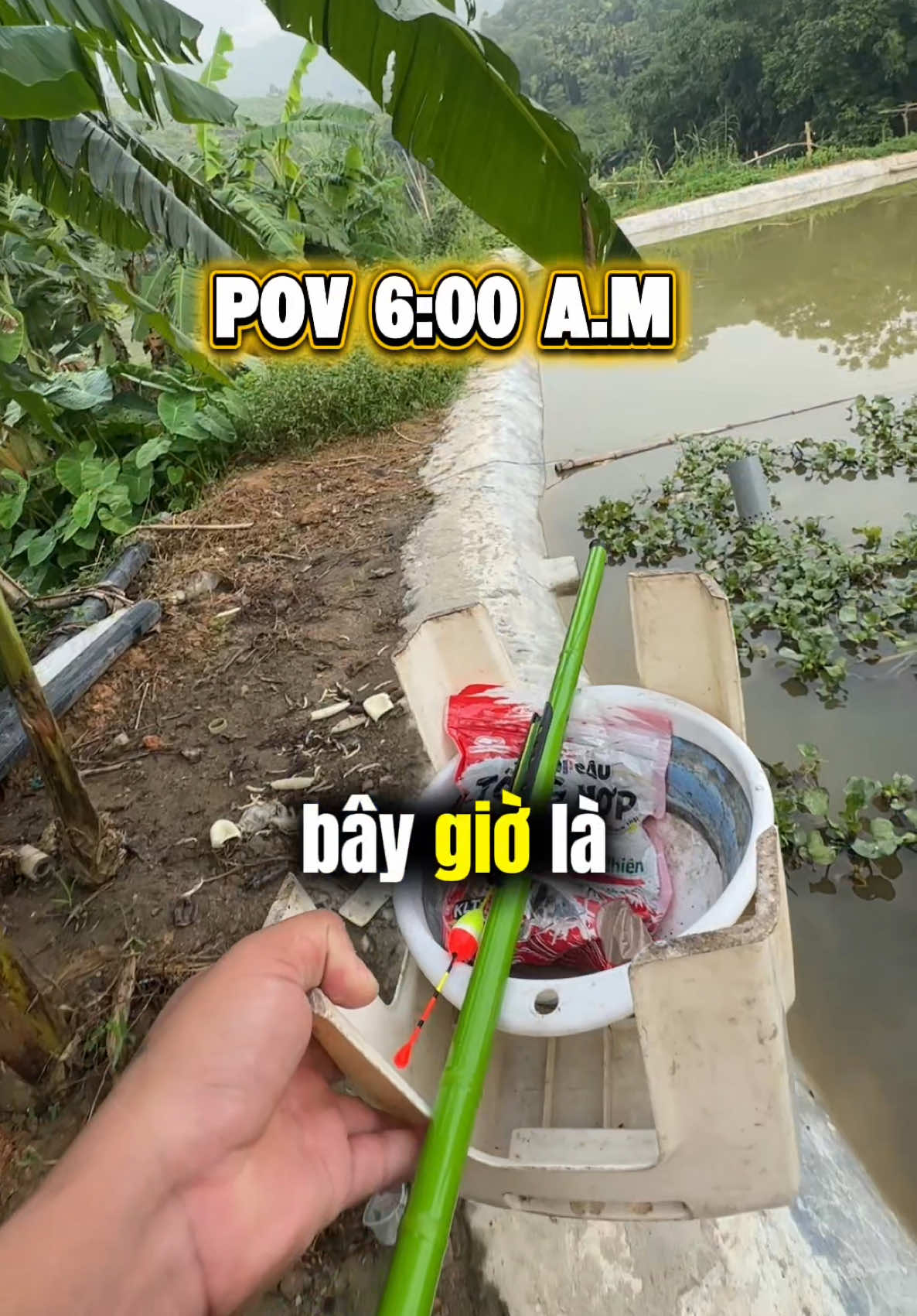 @Đồ C&acirc;u Thiện Ph&uacute; Thọ