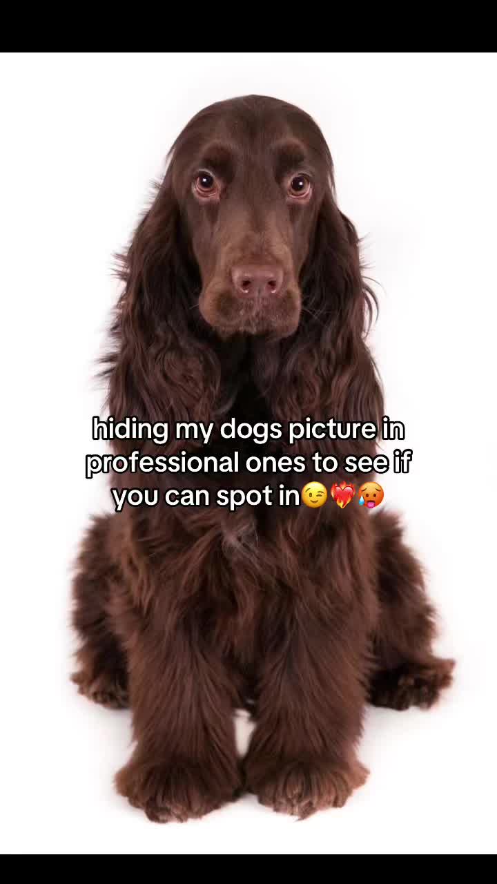 @Annie