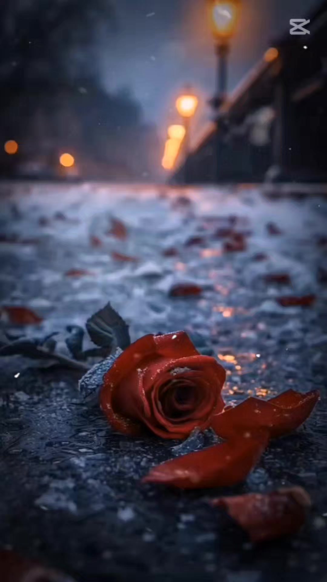 @n.m