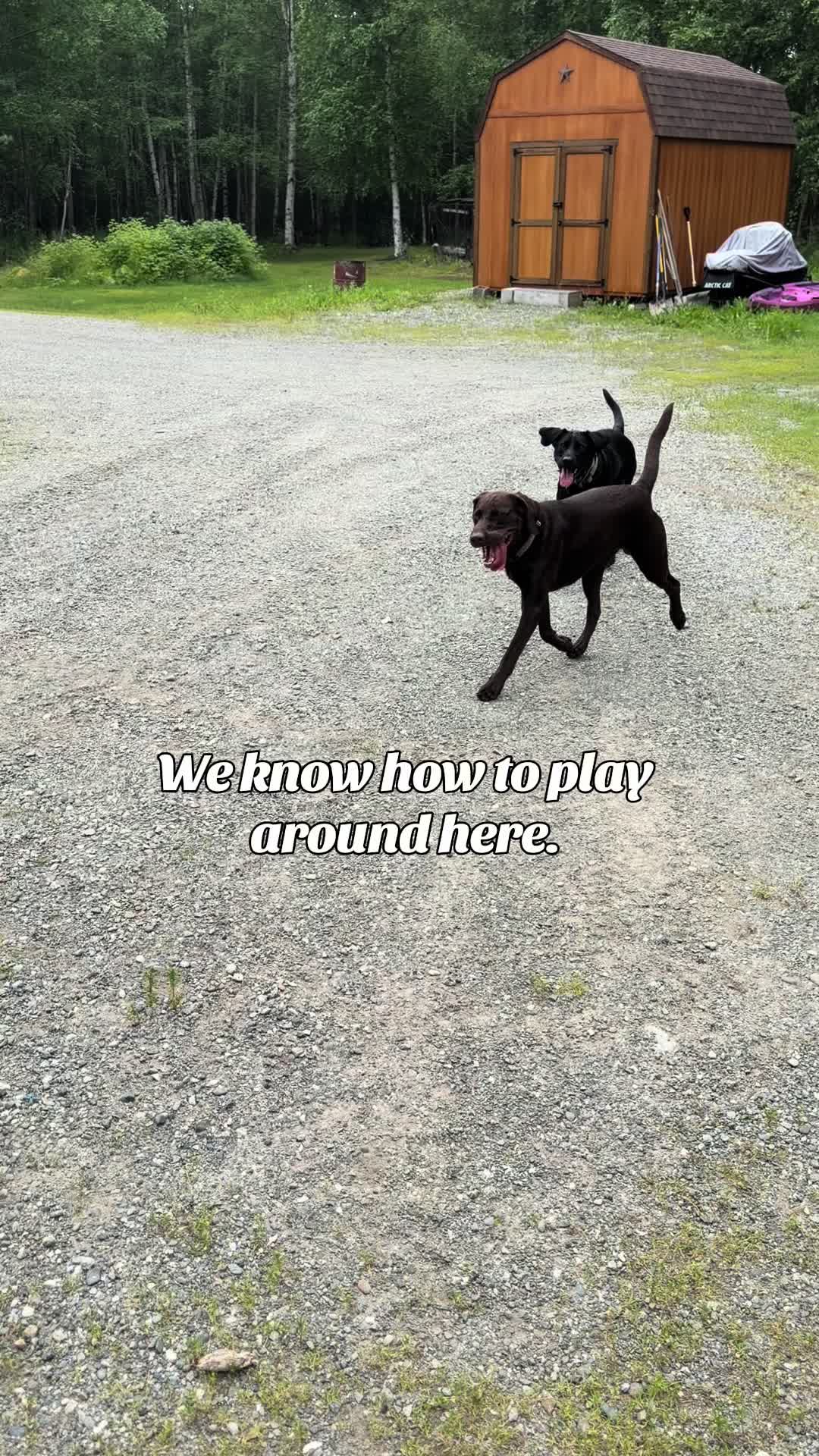 @Alaska-Gus
