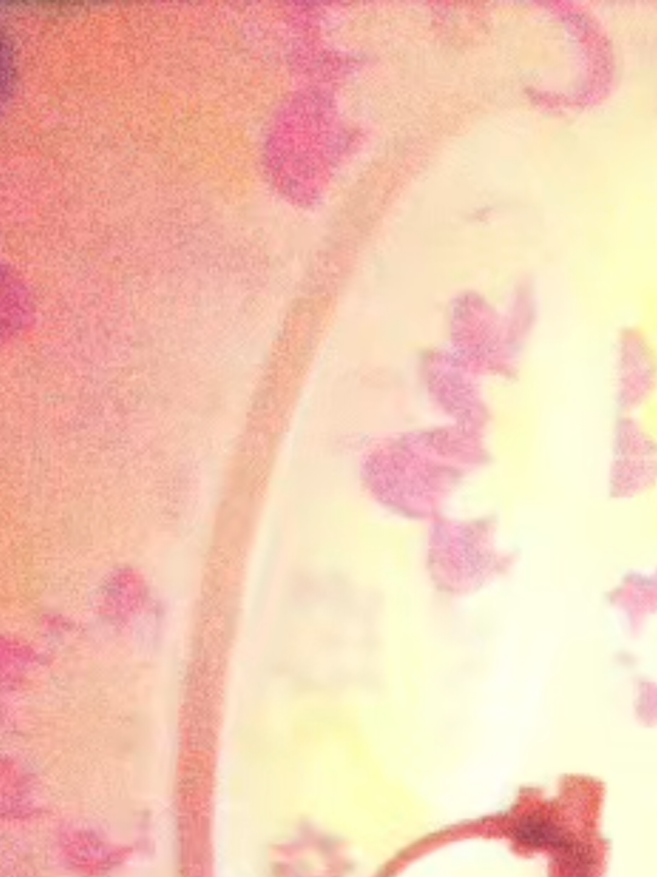 @neclix🪽