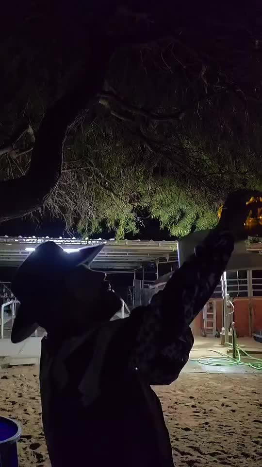 @Tito escamilla El Alegre