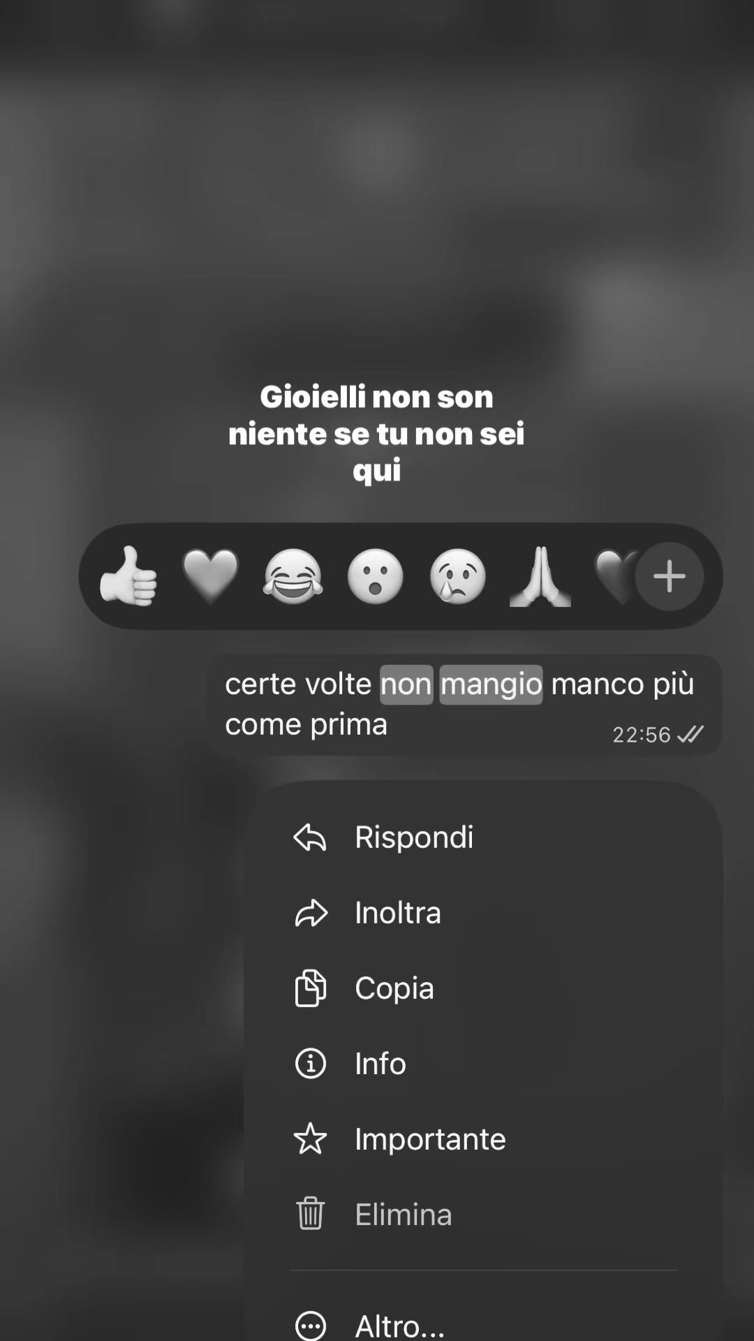 @giadyyspamm