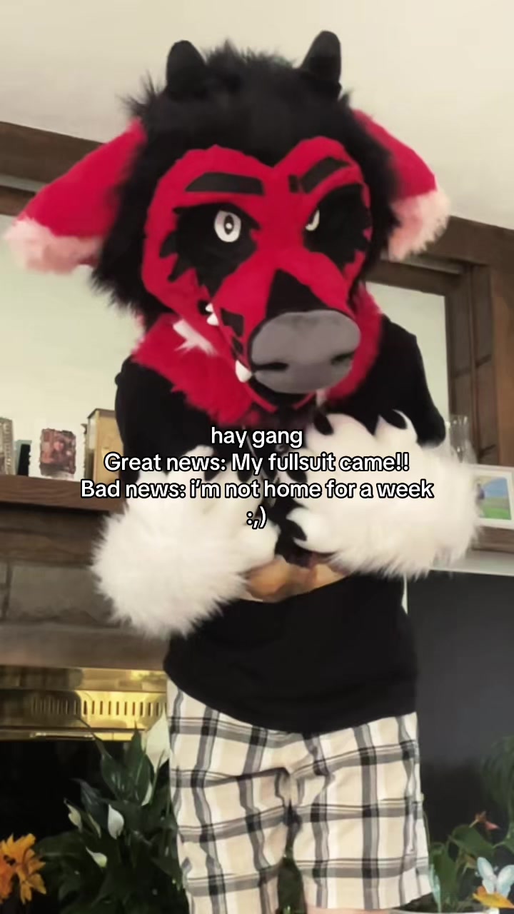@Pallis🗡️