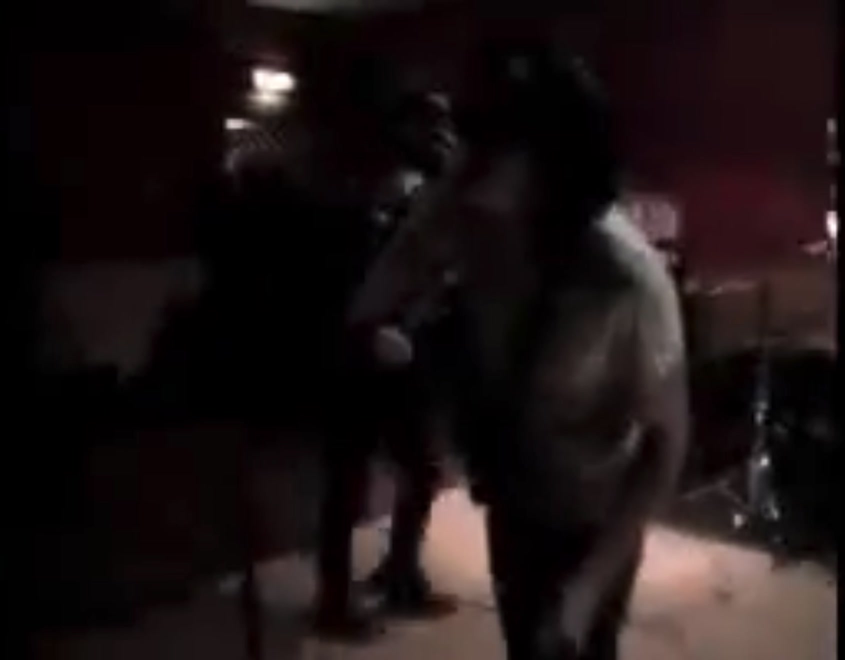 @ꪔ̤̱