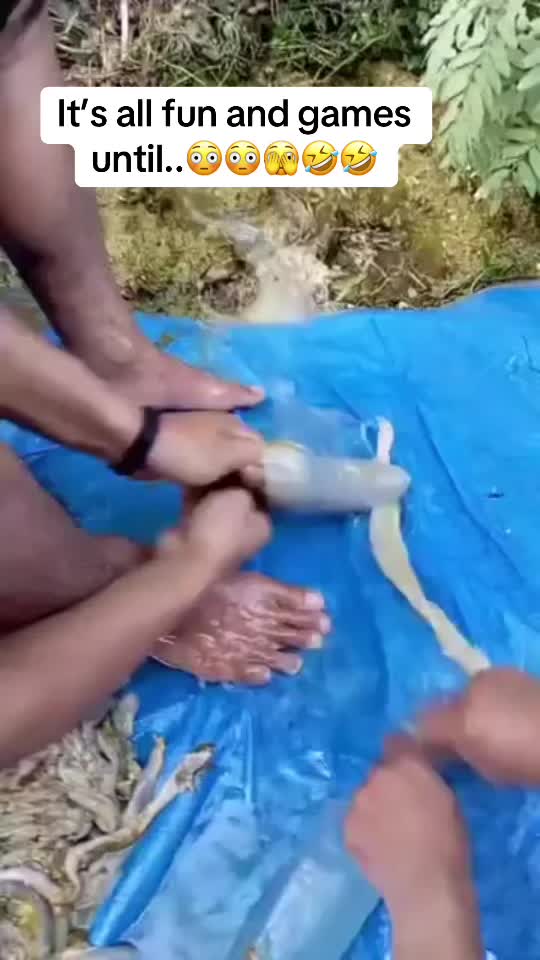 @PhaithBaby