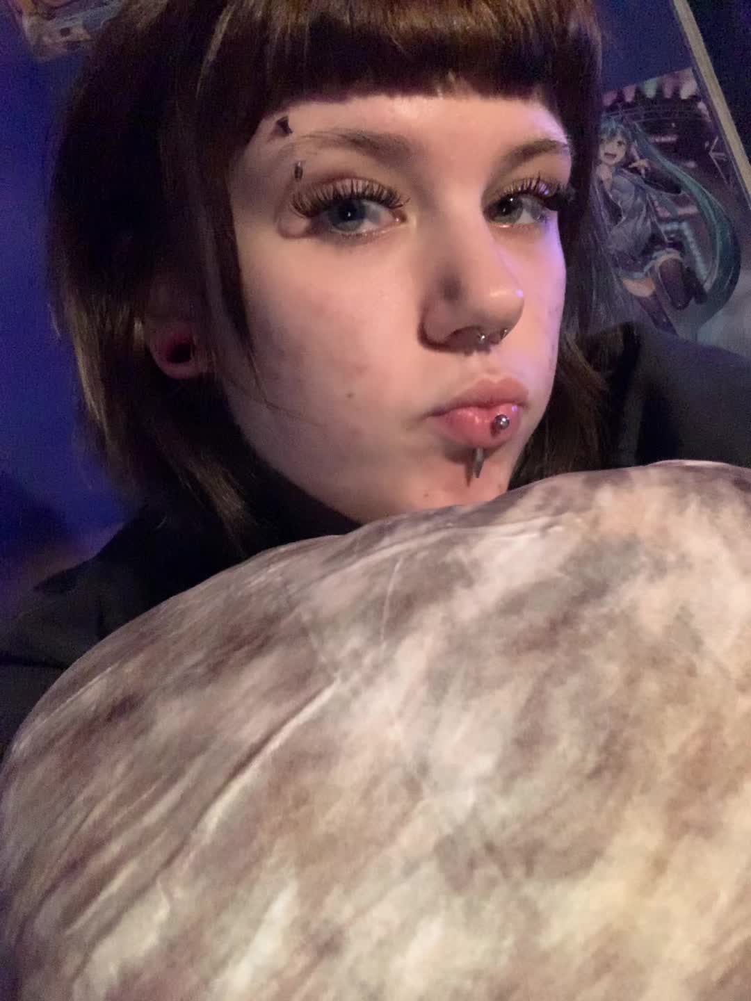 @ᓚᘏᗢ
