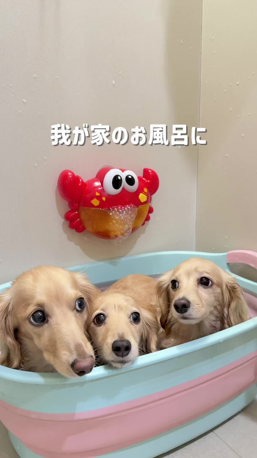 @ðããããªãŸã
ð