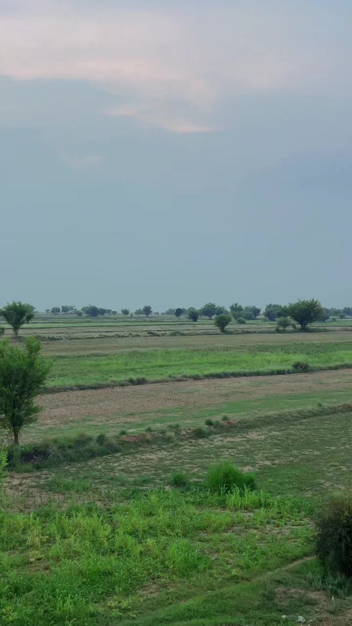 @ملک عاصم تریڑ اعوان بنجره