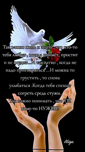 @Aliya