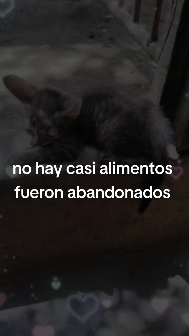 @casa hogar milagros 505 🇳🇮