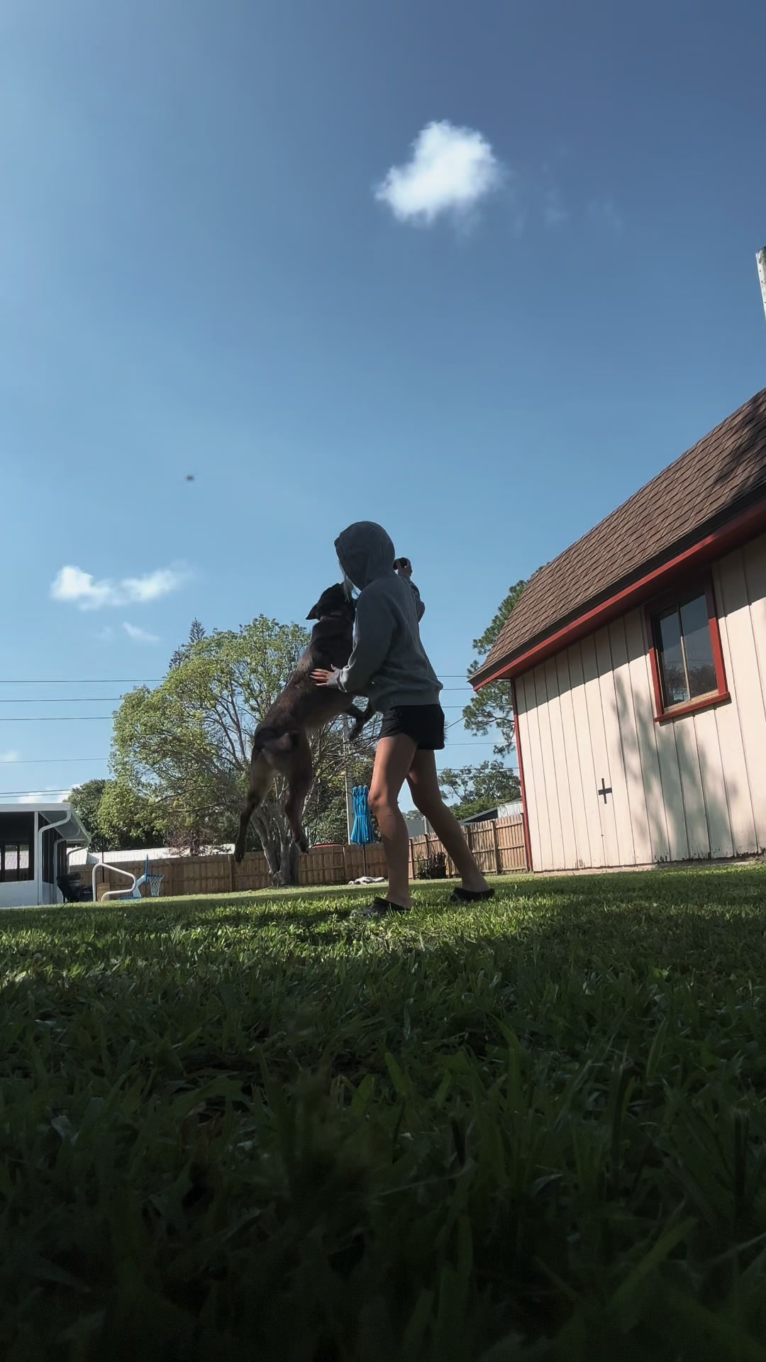 @K9.corporal