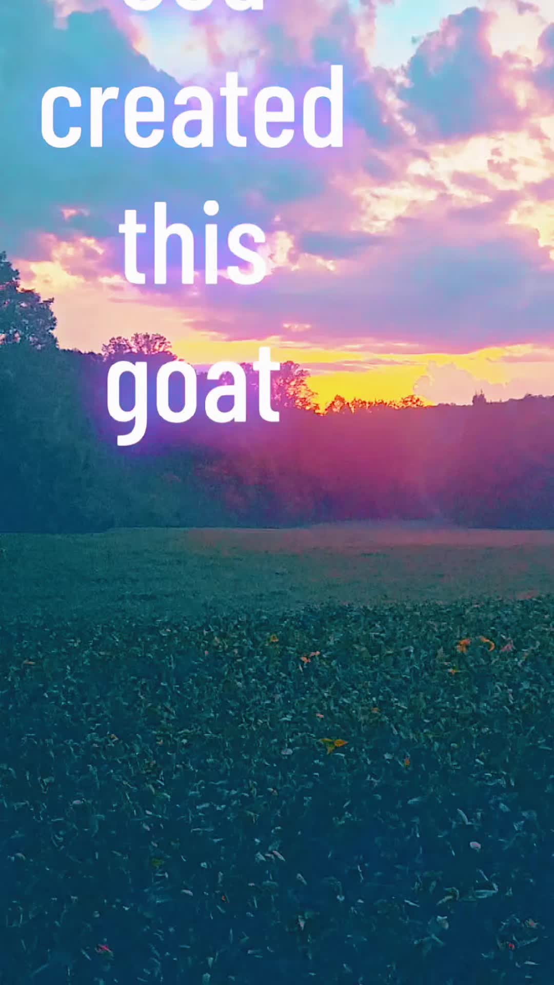 @joel