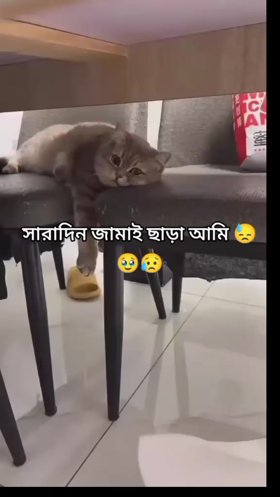 @toniaktar15