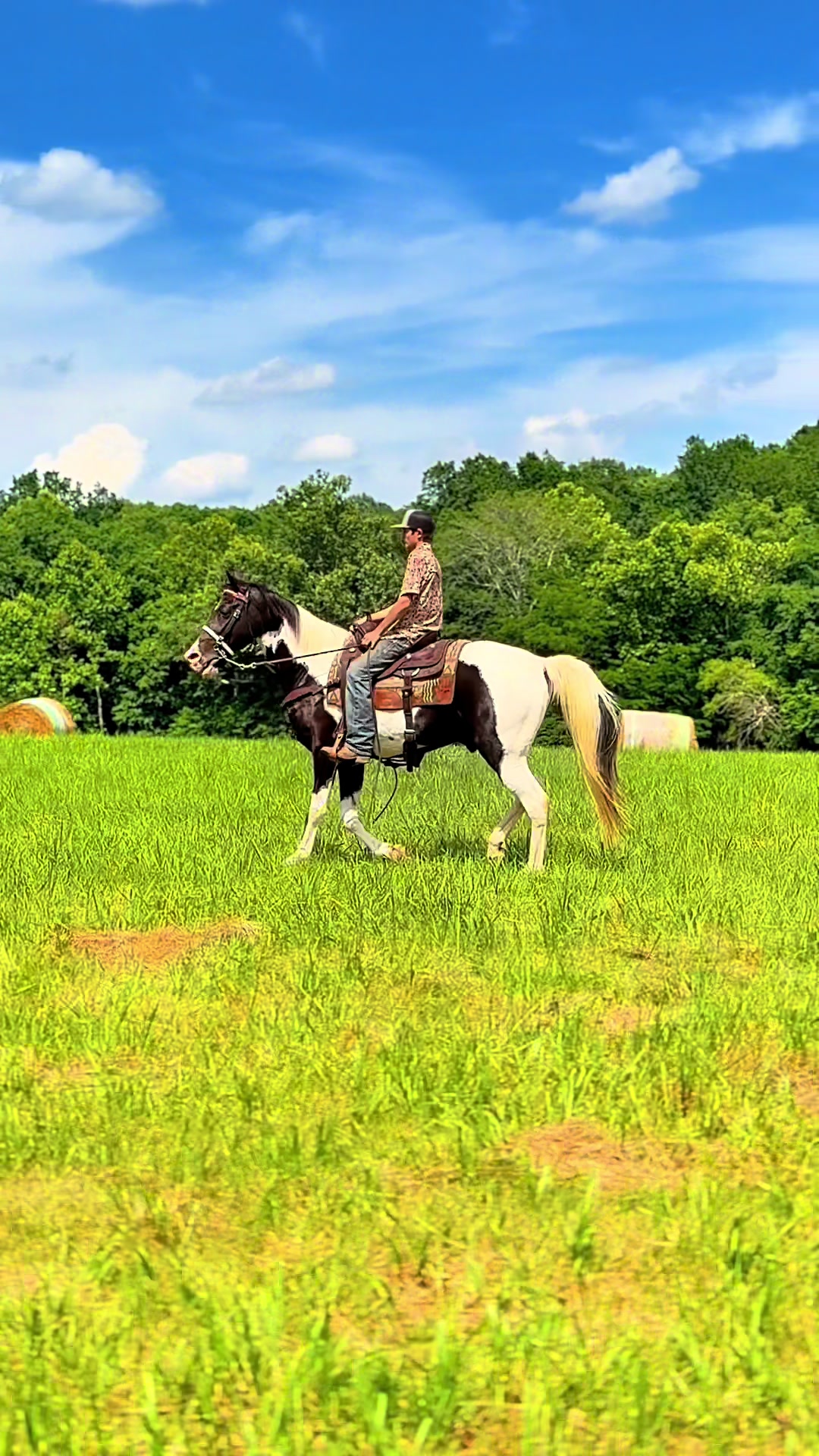 @Lucky D Ranch 🍀