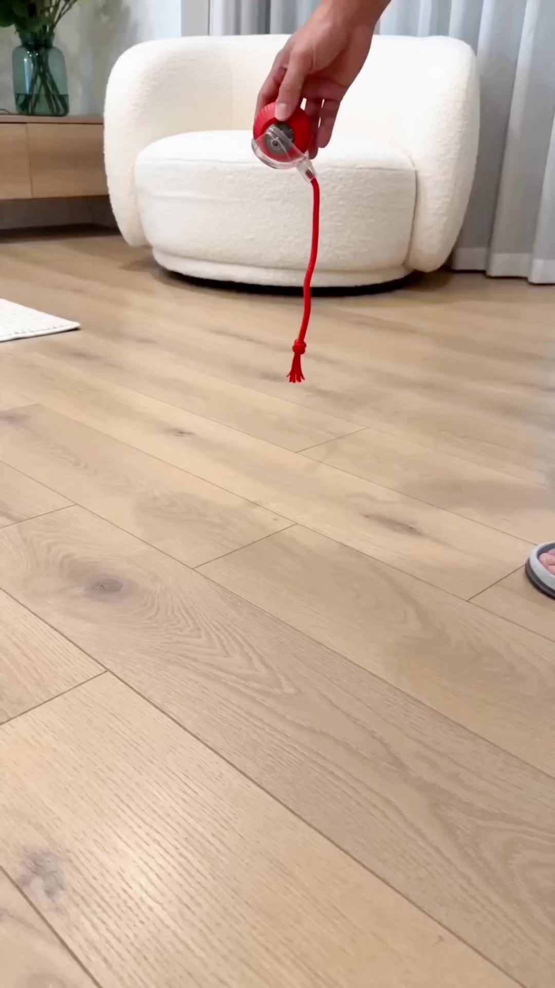 @Funny Ai