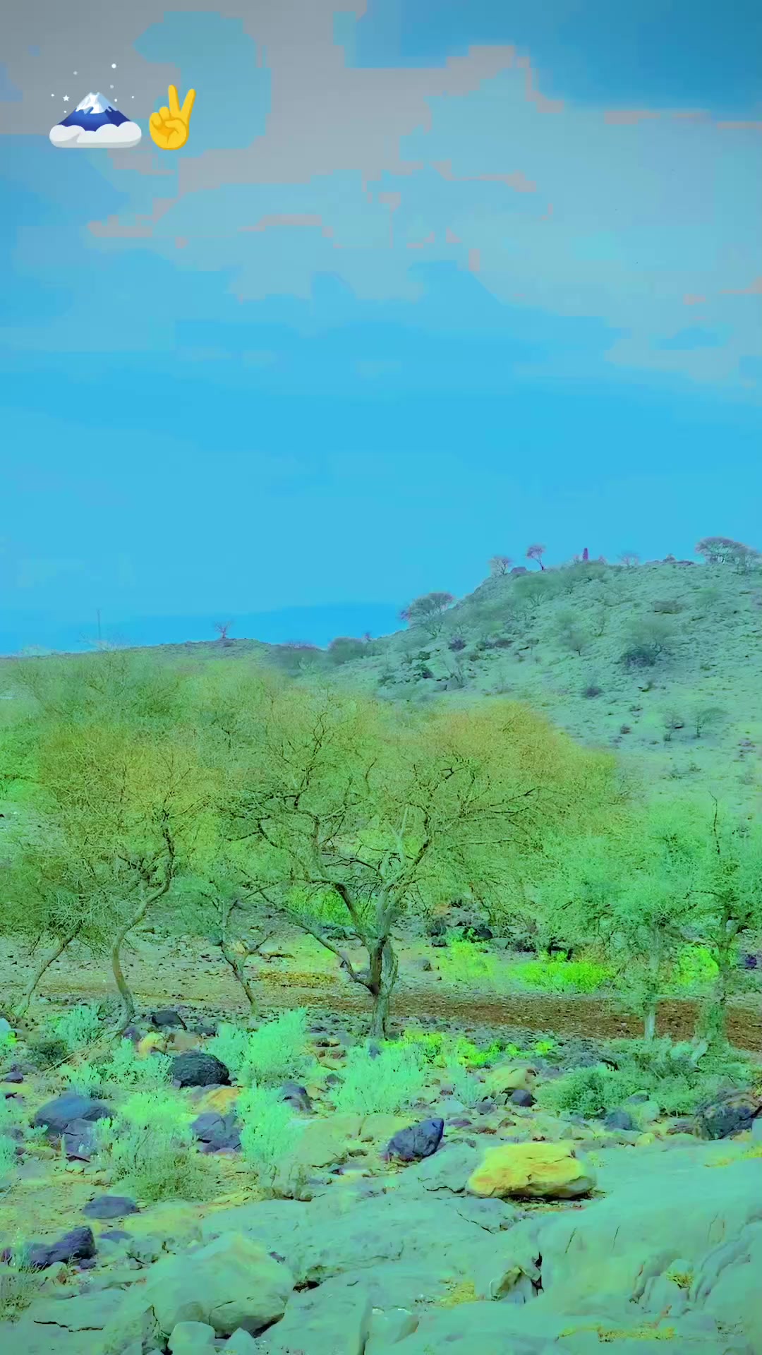 @شَـــاهَـــد لـــغّـــاری💫