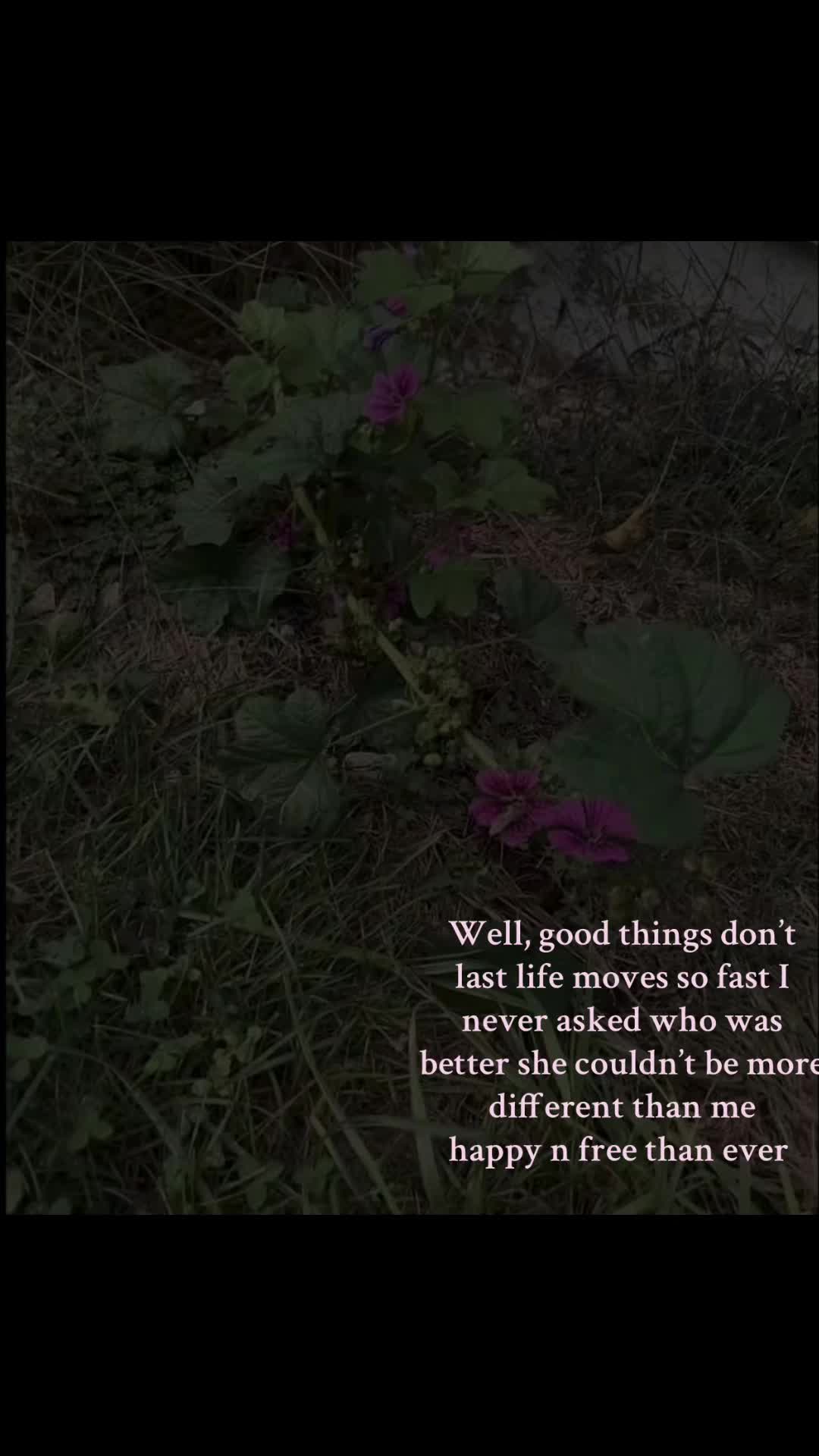 @sophia💕