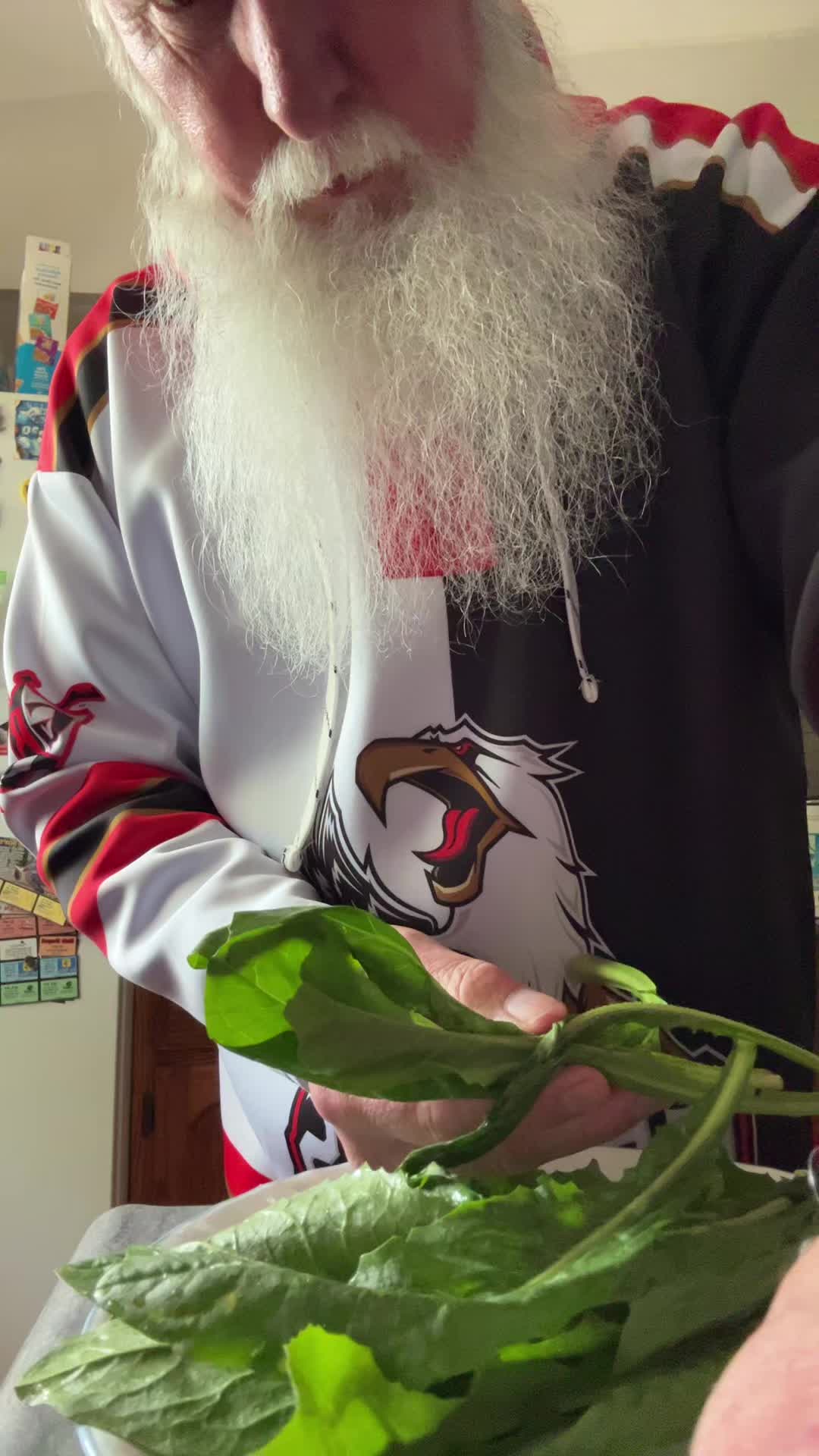 @Gerald&ensp;papa gnome wellman