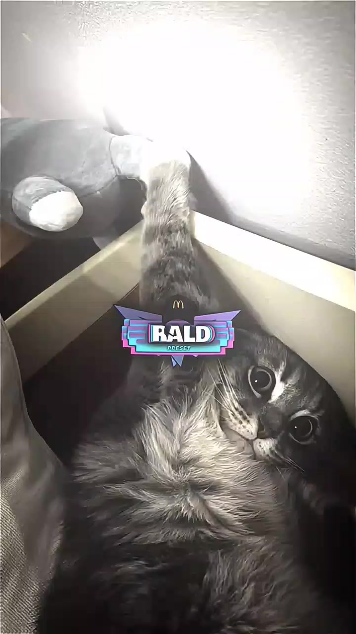 @𝙍ald 𝙋rst