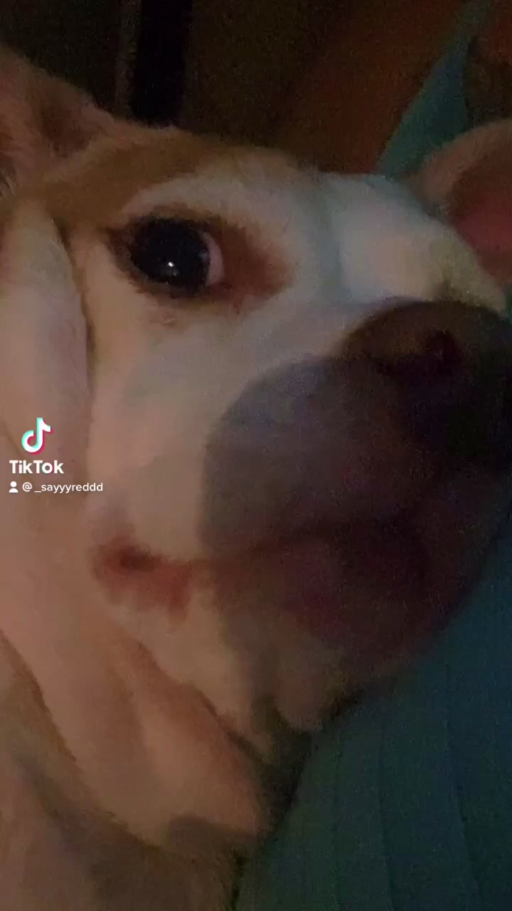 @Ogbabypinky
