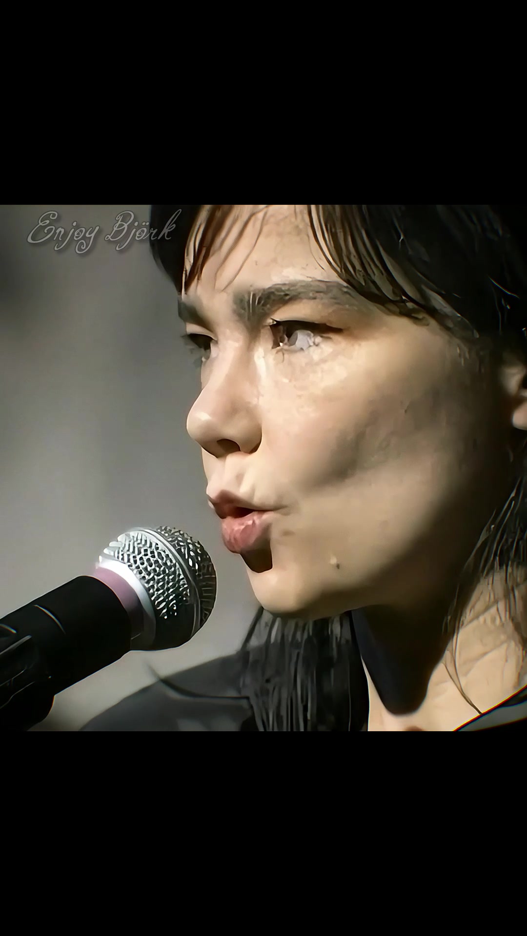 @Enjoy Bj&ouml;rk