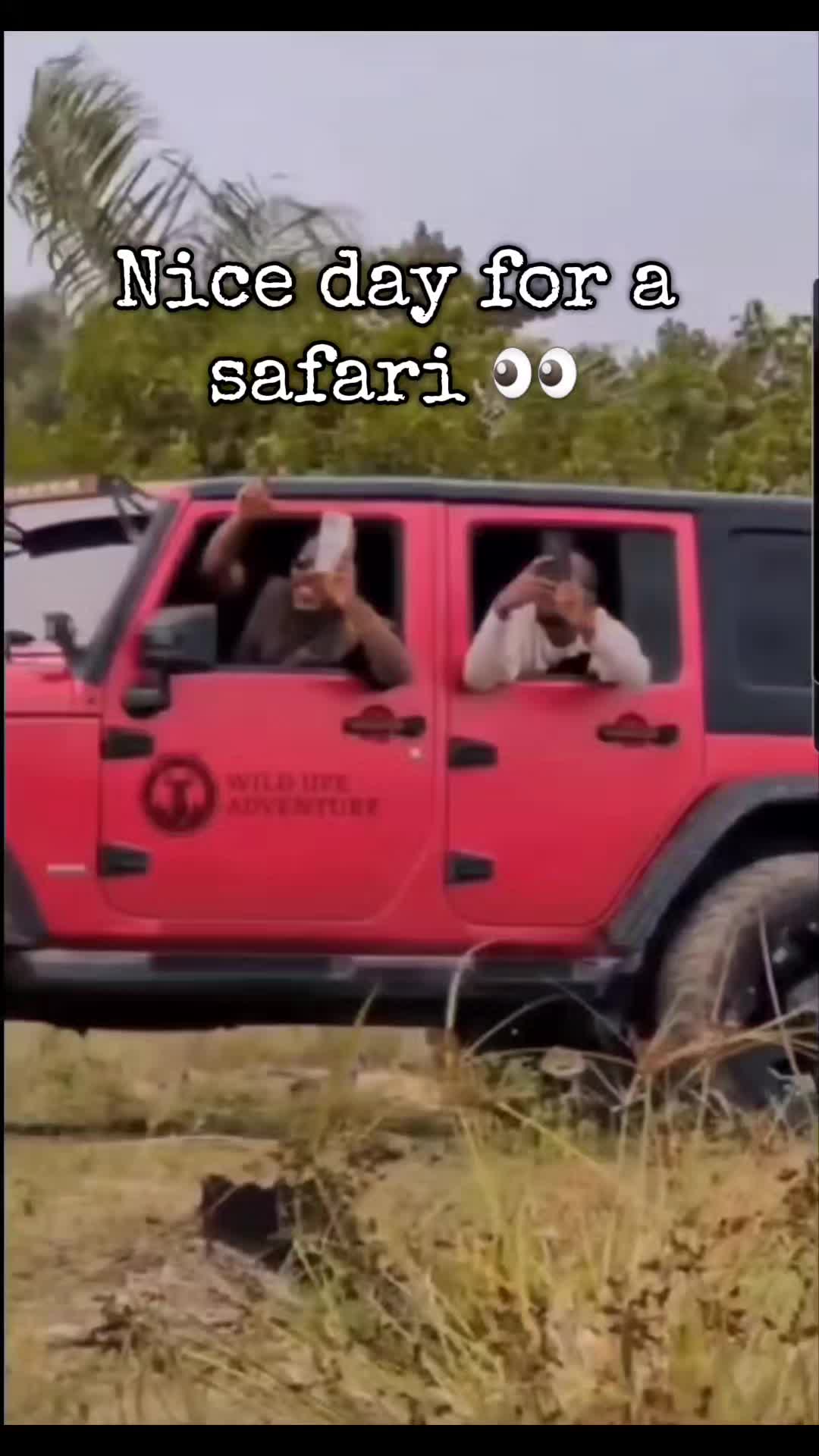 @Mgck