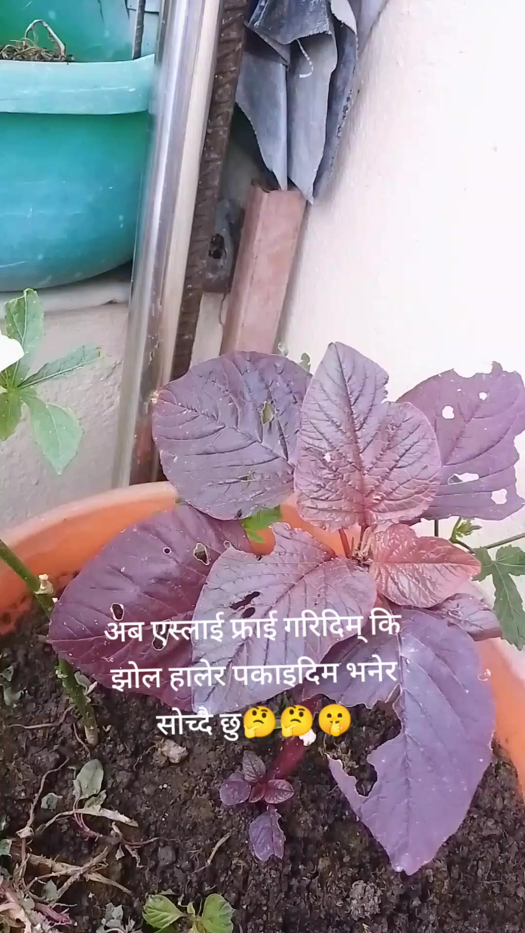 @Babita Bhattarai