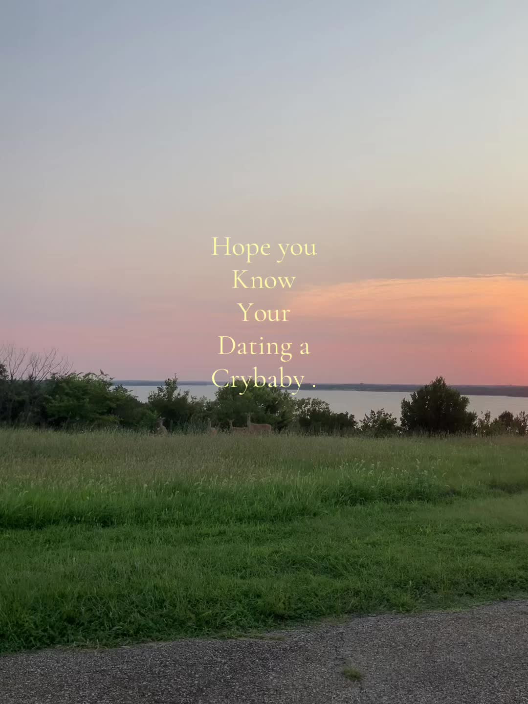 @m.★🦩