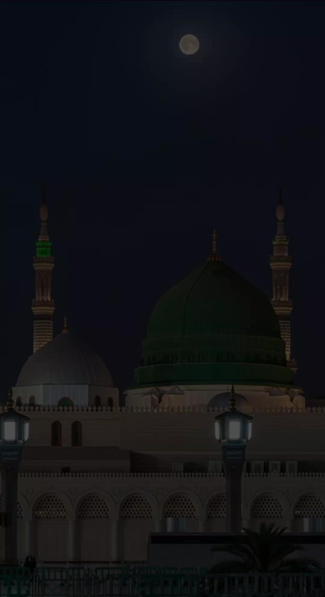 @بـيار خـيرالله ✪