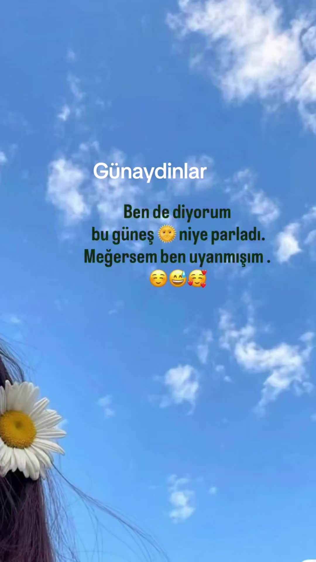 @ayse48