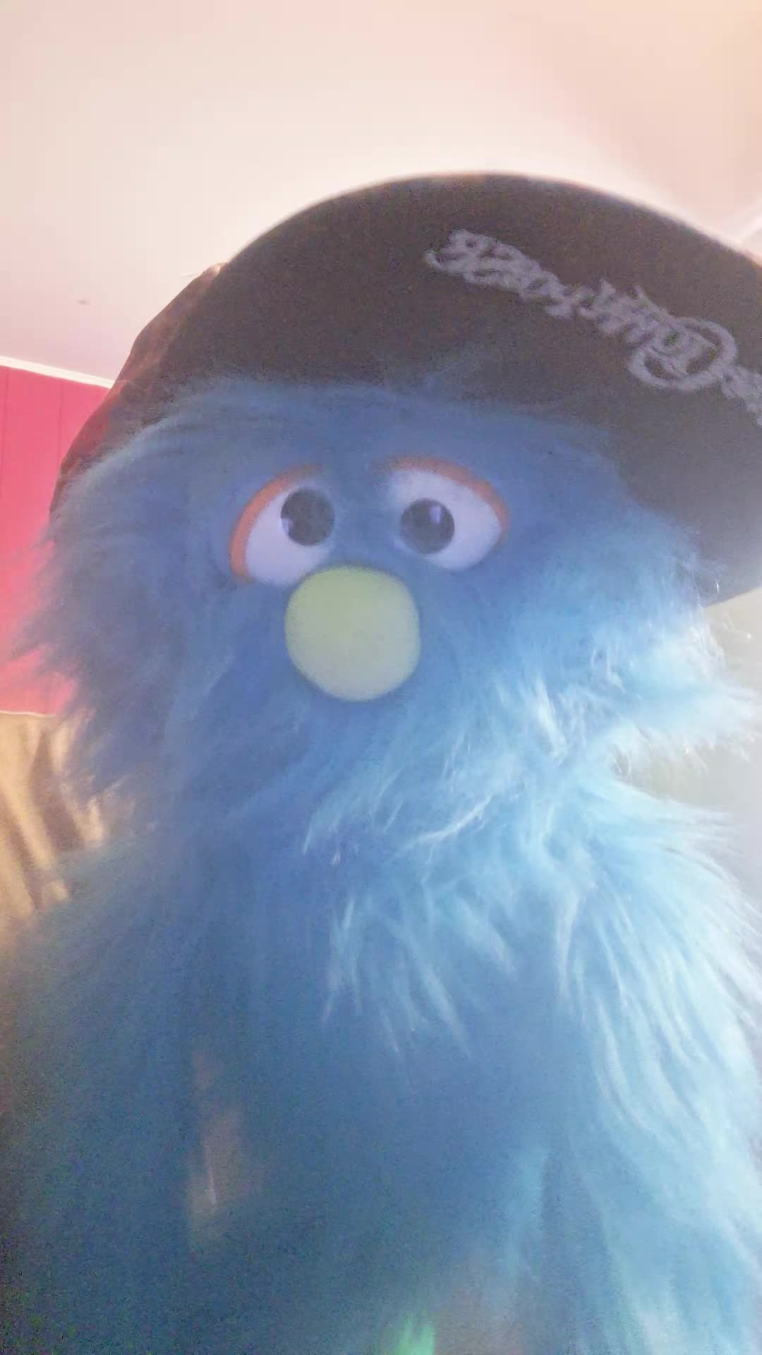 @💙pickelrick/ juggalo Muppet💙