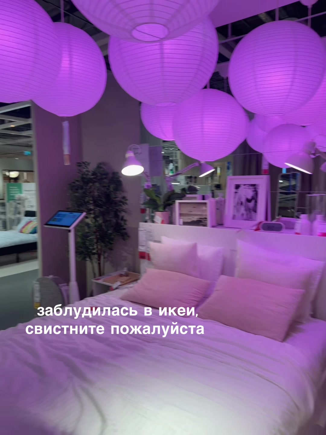 @тораа