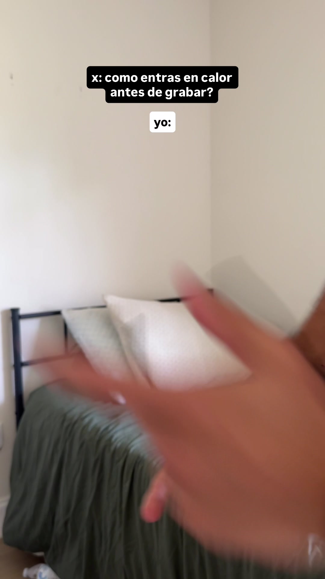 @mendiolaenusa