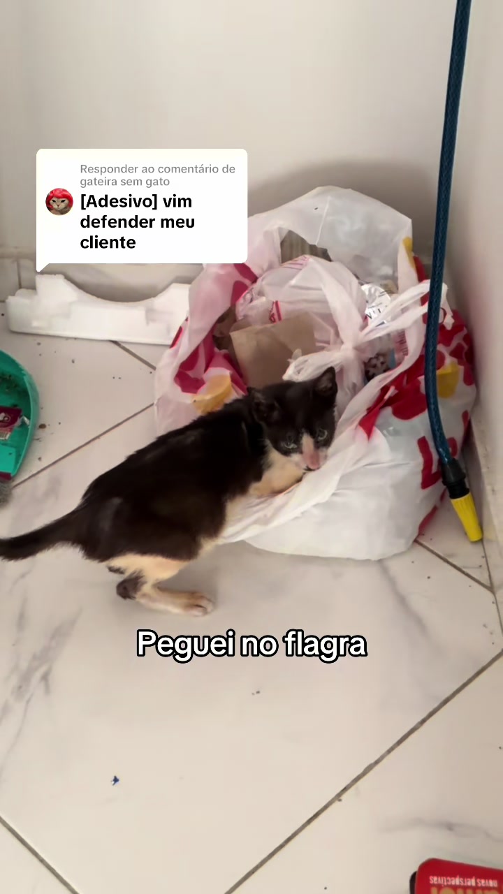 @ogatorenatinho