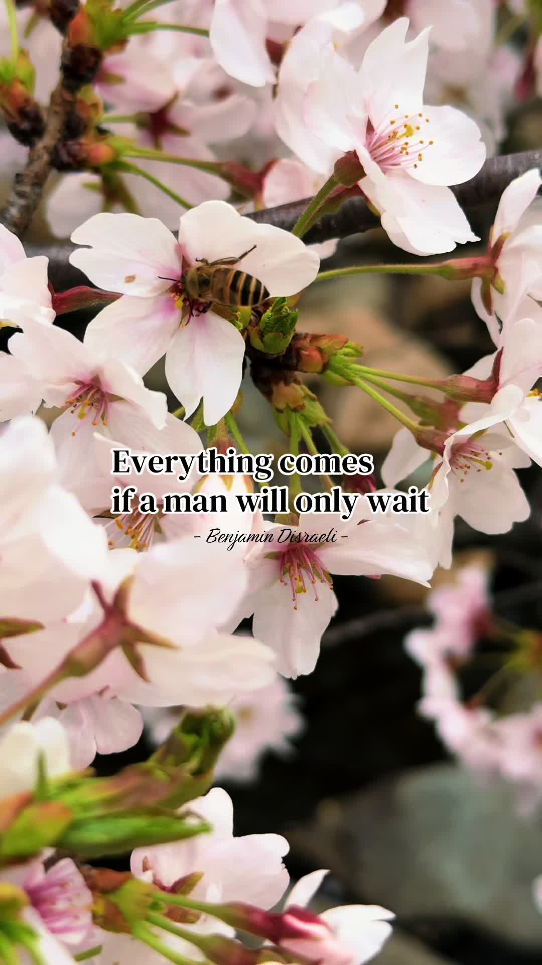 @auntypositivity