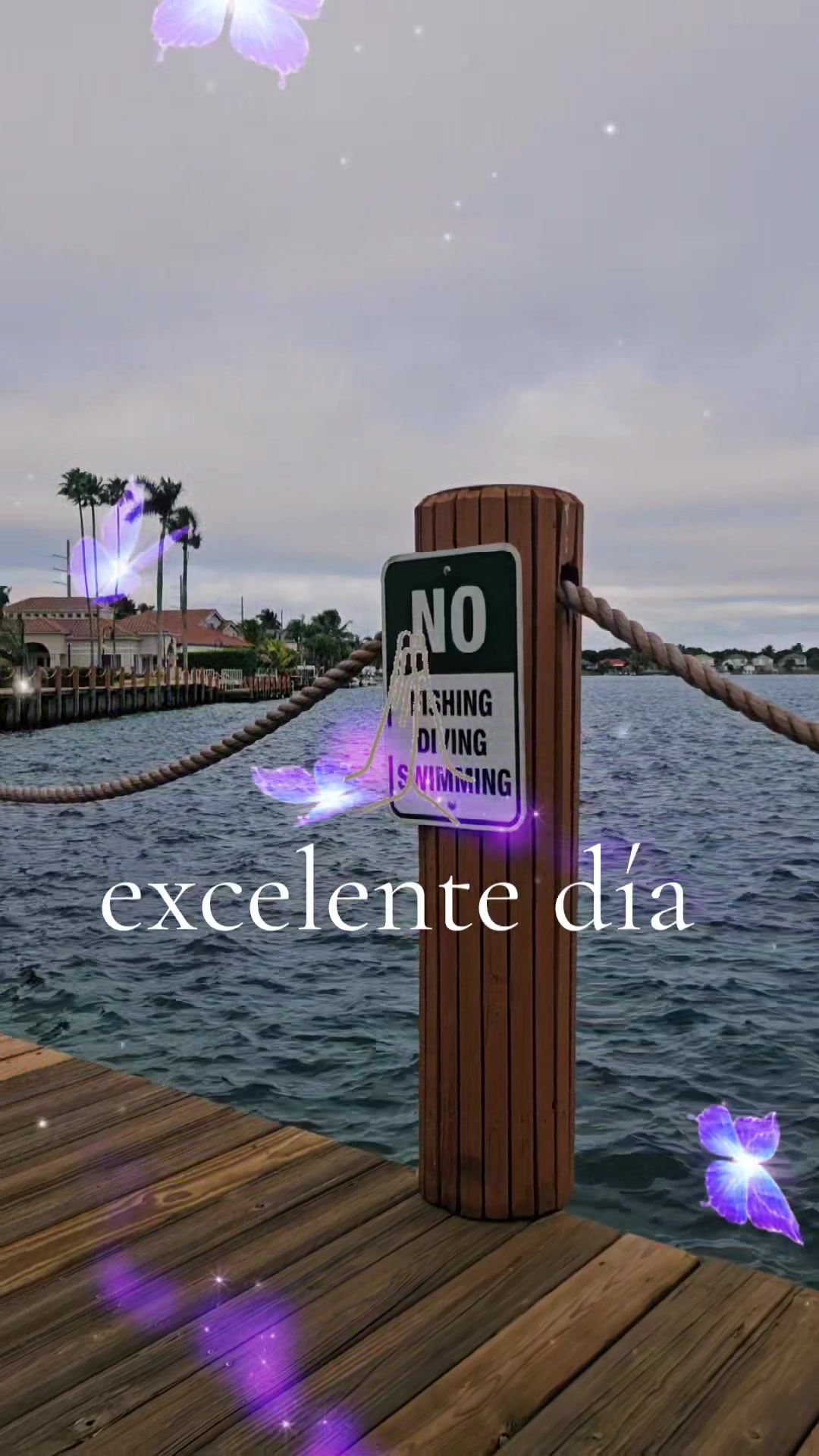@ANJELICA@