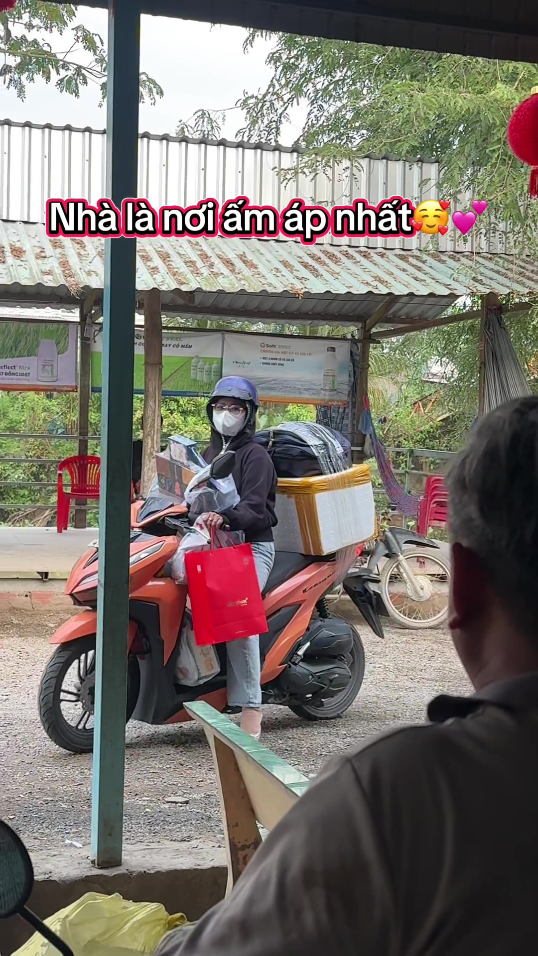 @Mậu Dần 1998