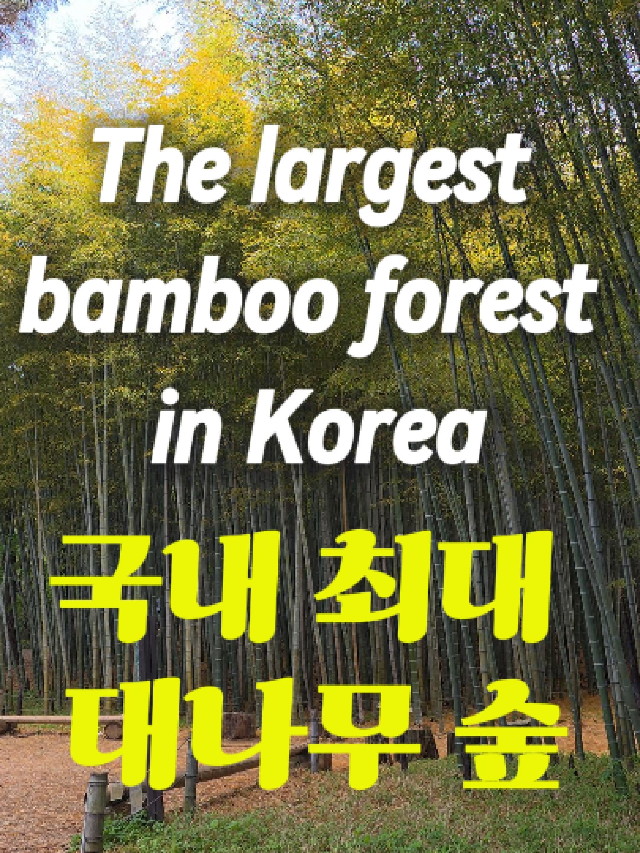 @Hello Ktour