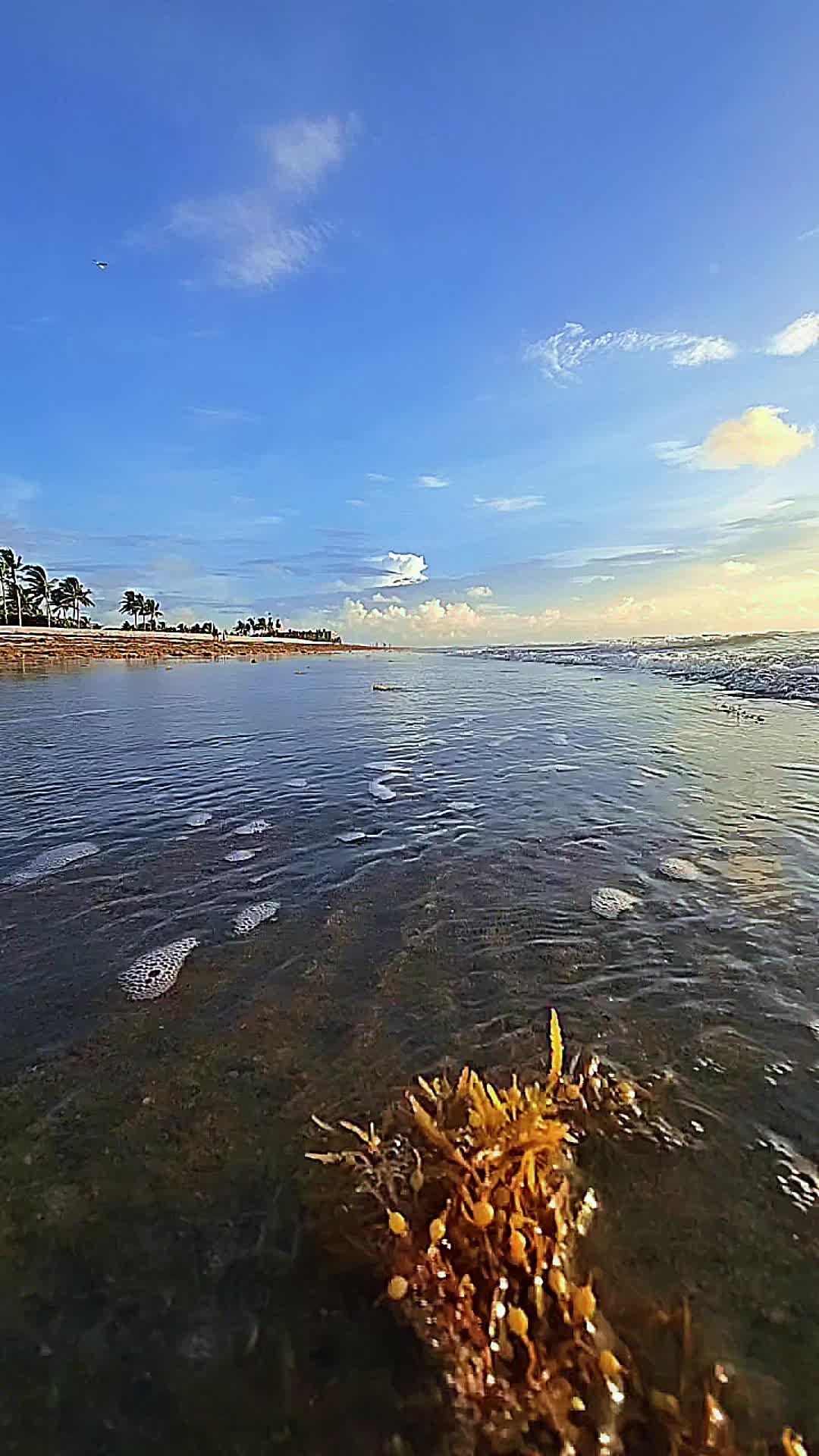 @𝓐𝓷𝓰𝔂76