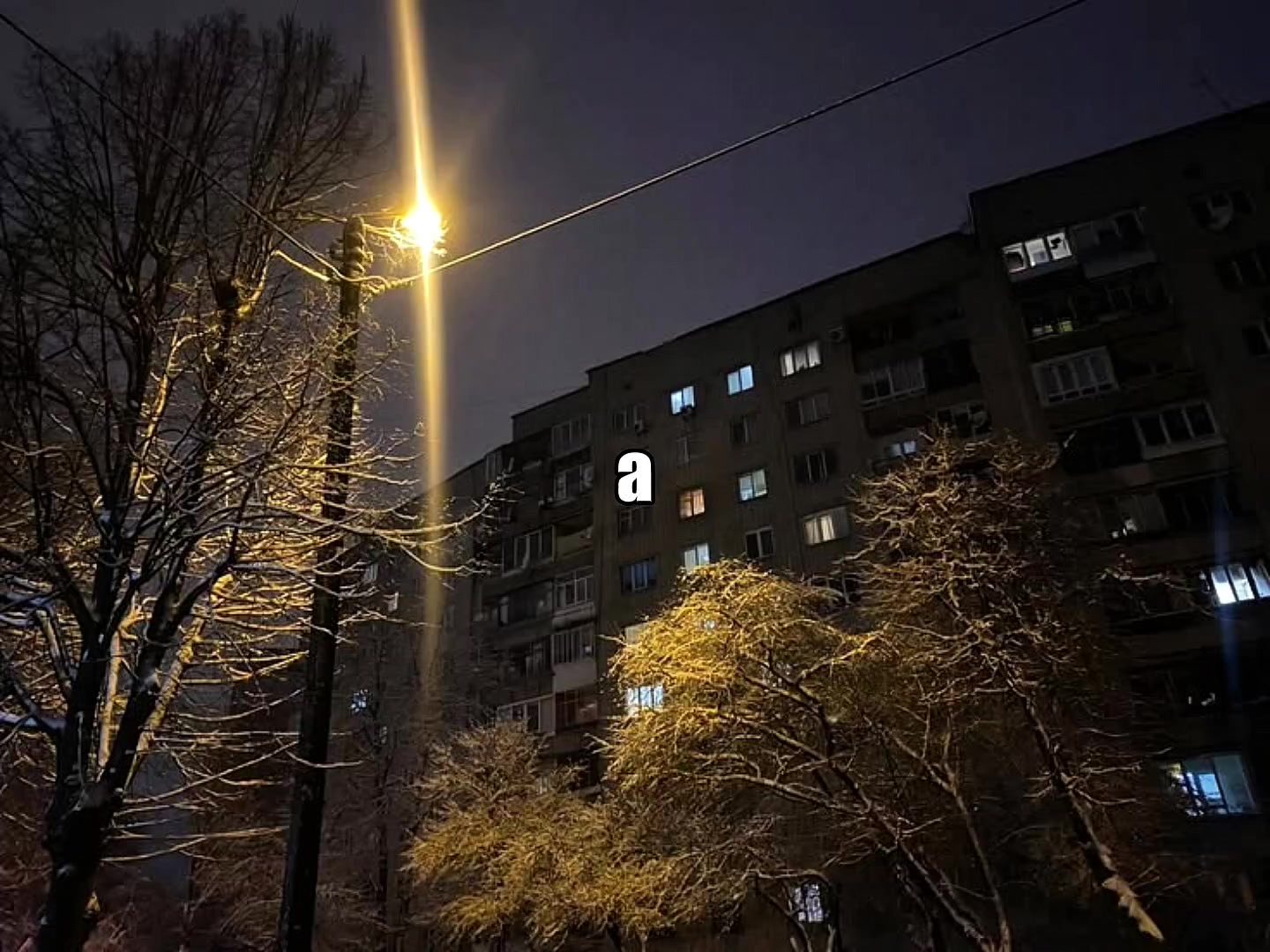@𝐓𝐑𝐈𝐁𝐋𝐄𝐗