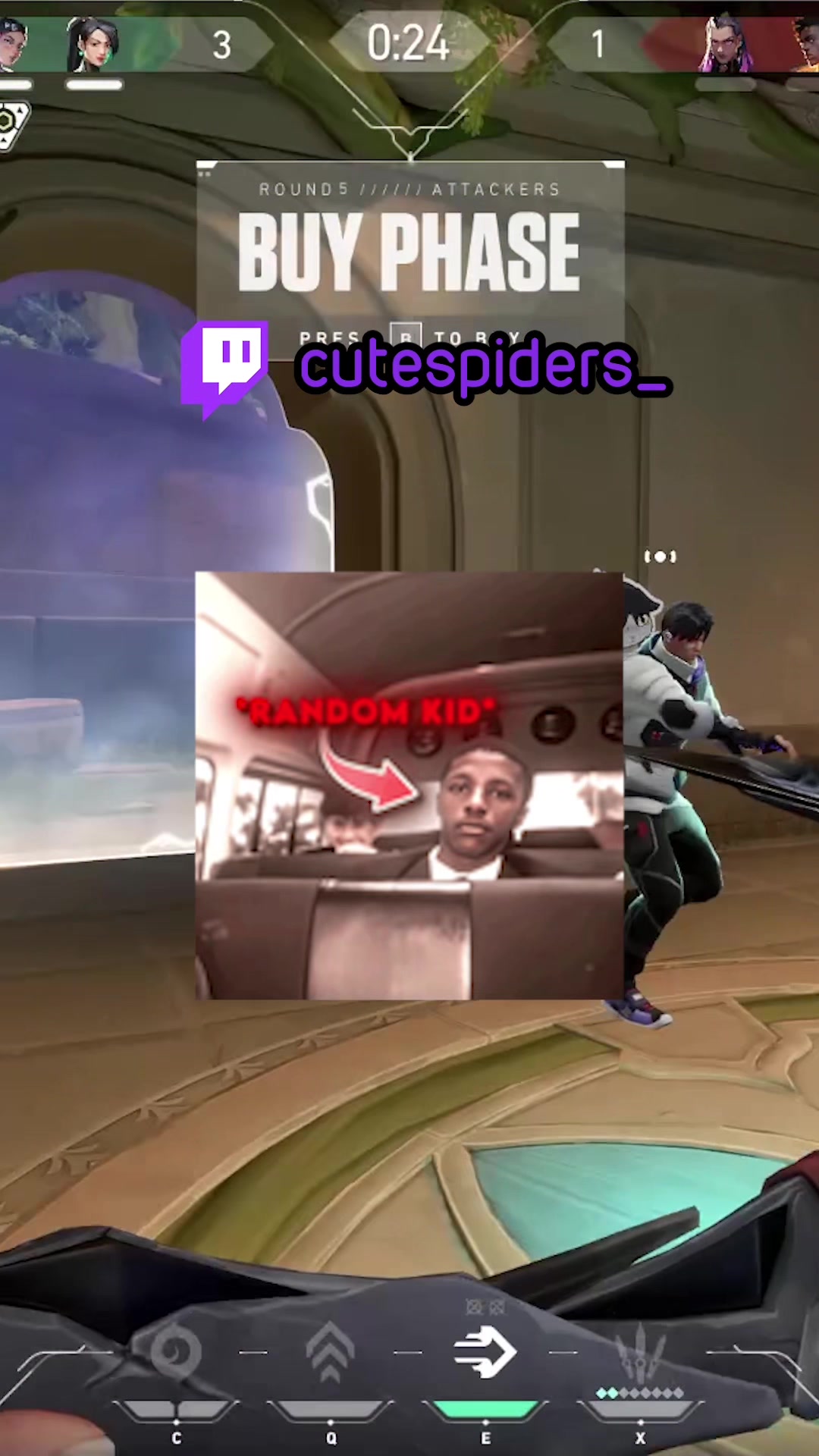 @cutespiders 🕷️🕸️