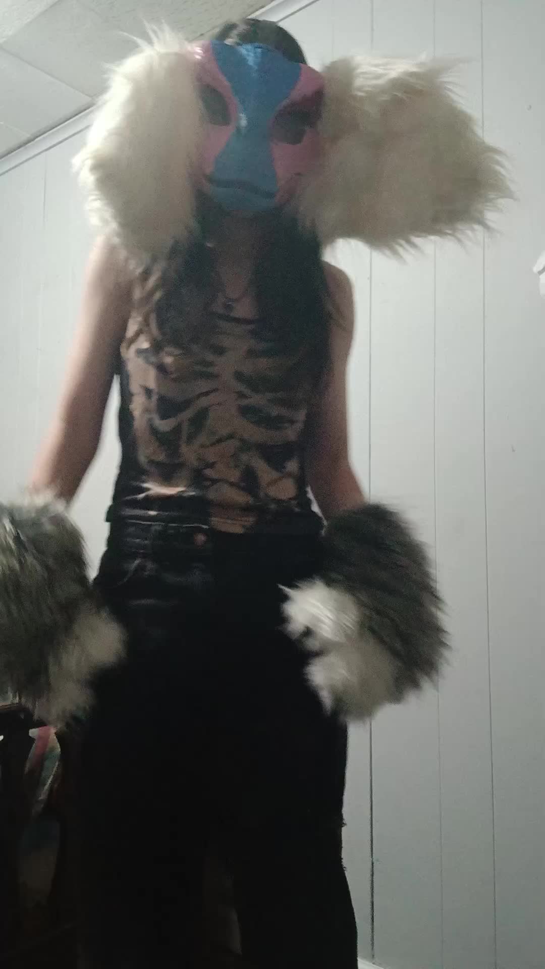 @Crazy Kitsune