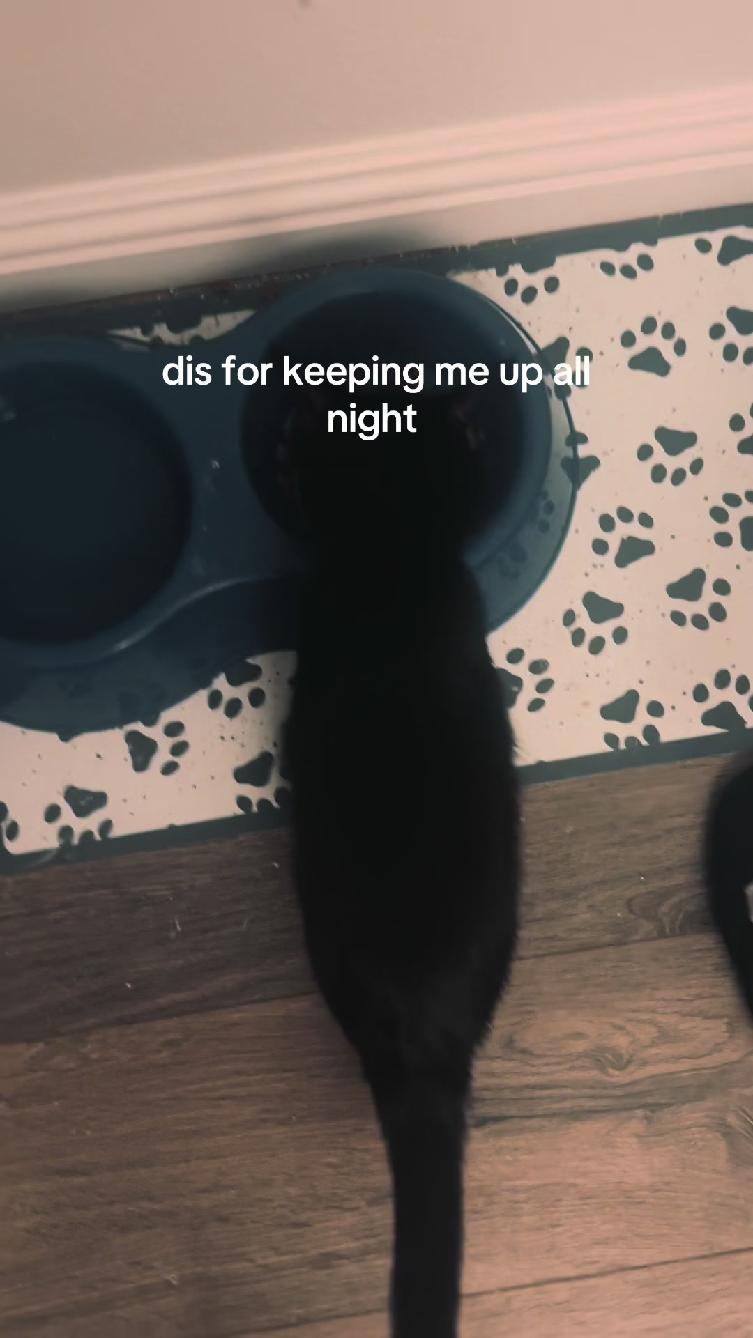 @xxpiratecaptainmemeszxx