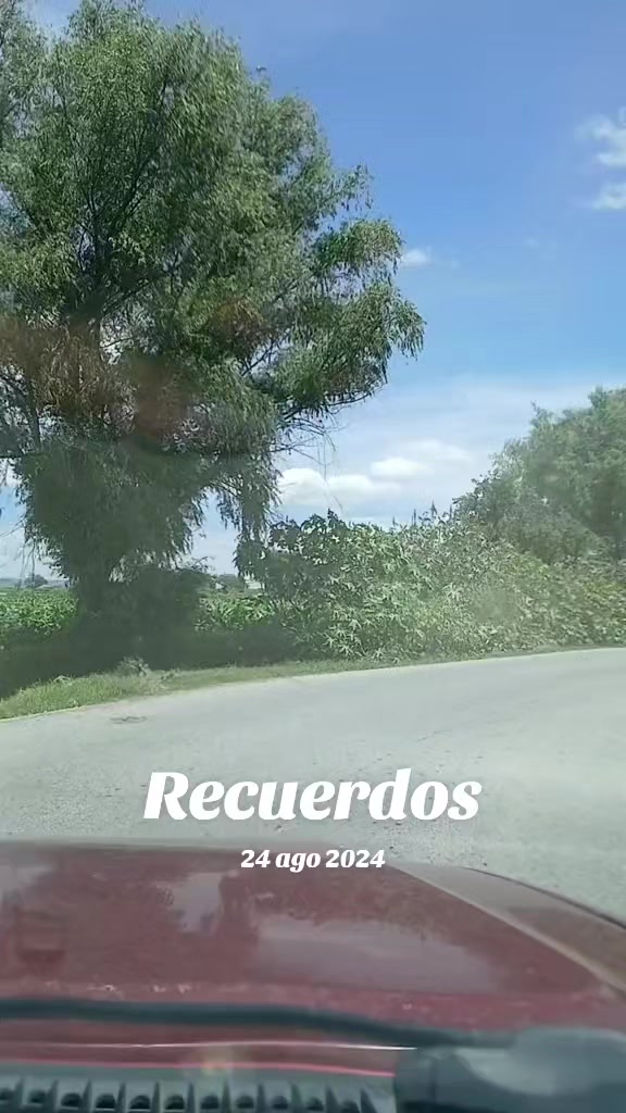 @Sofi Corona