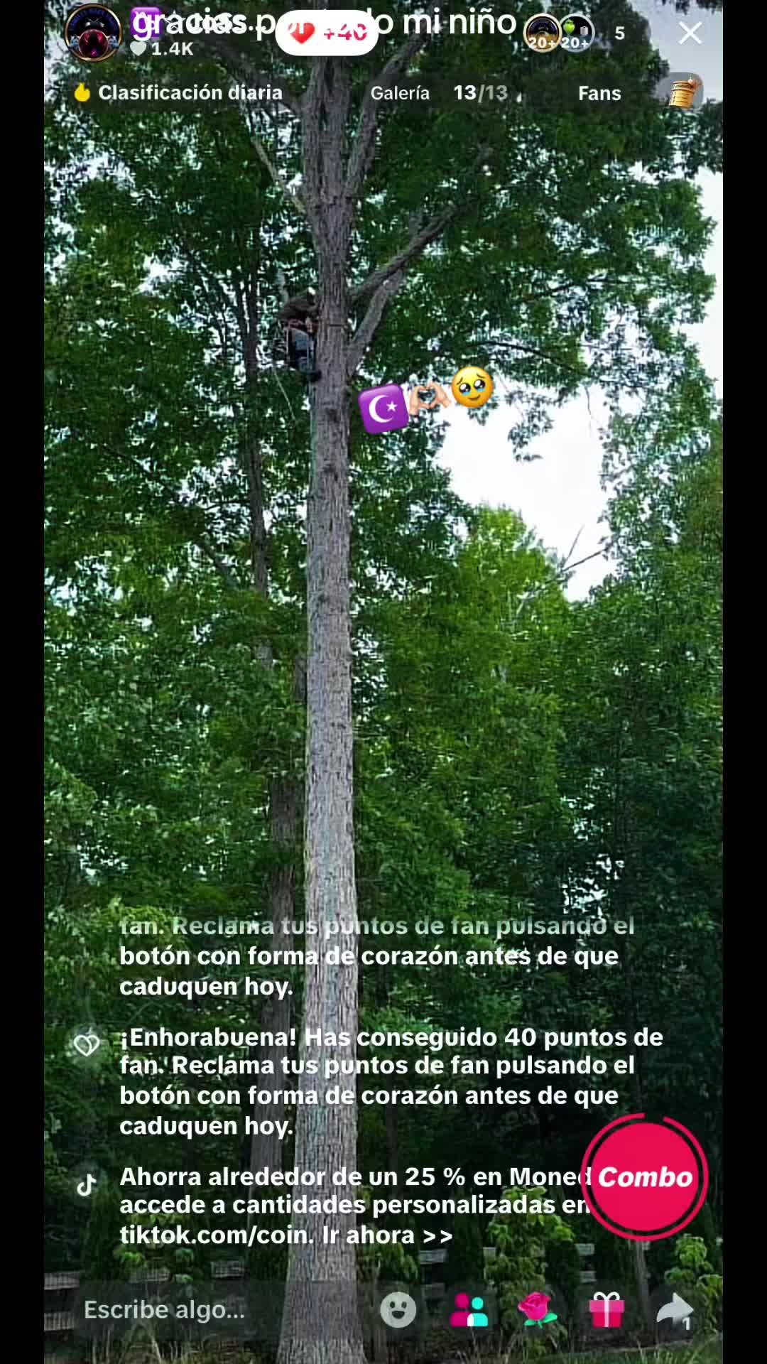 @☪️-`𝖊𝒎𝒂&hellip;🐓.💙.🤫🚘🌲❤️&zwj;🔥🌲