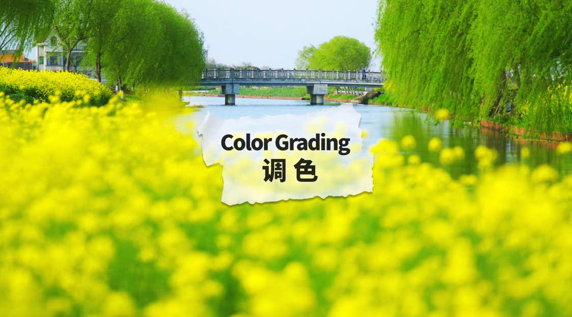 @Mr.Lu 卢