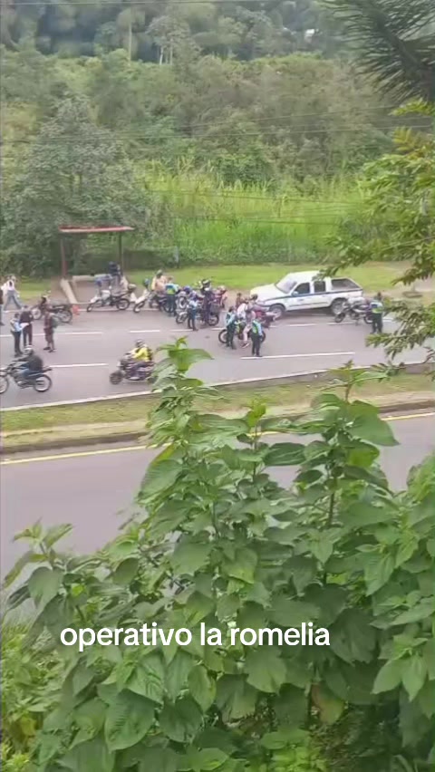 @Alerta Vial Sms